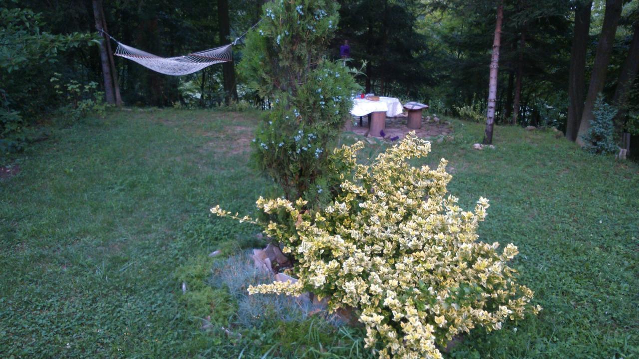 Tammaris Holiday Home Visoko Eksteriør bilde